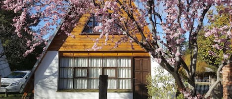 Traditioneel huisje, 1 slaapkamer | 1 slaapkamer, individueel gemeubileerd, een bureau