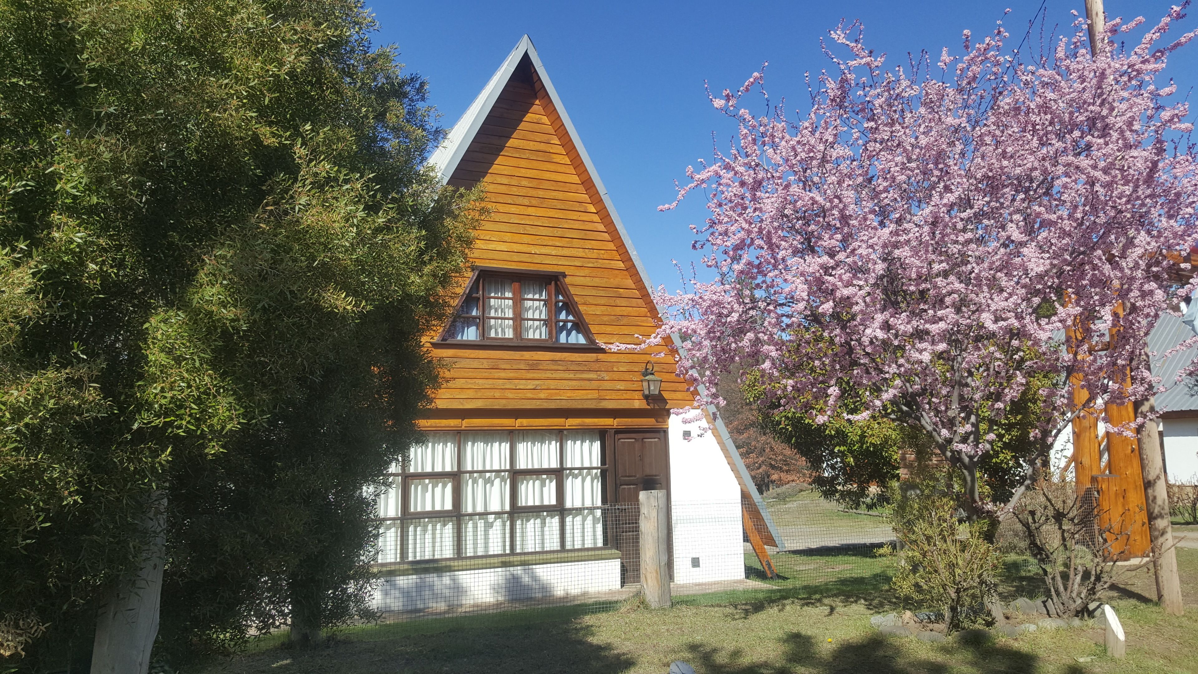 Une maison en bois avec un toit triangulaire, une clôture blanche et un arbre en fleurs.