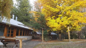 Une cabane rustique avec une entrée pavée de pierres, des bancs en bois et un toit en métal.