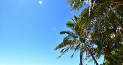 Adamaris Condo Condesa