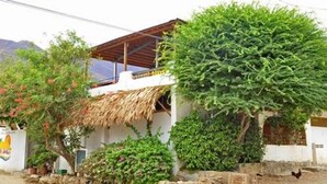 A house with a thatched roof, surrounded by lush greenery and a mountain backdrop.