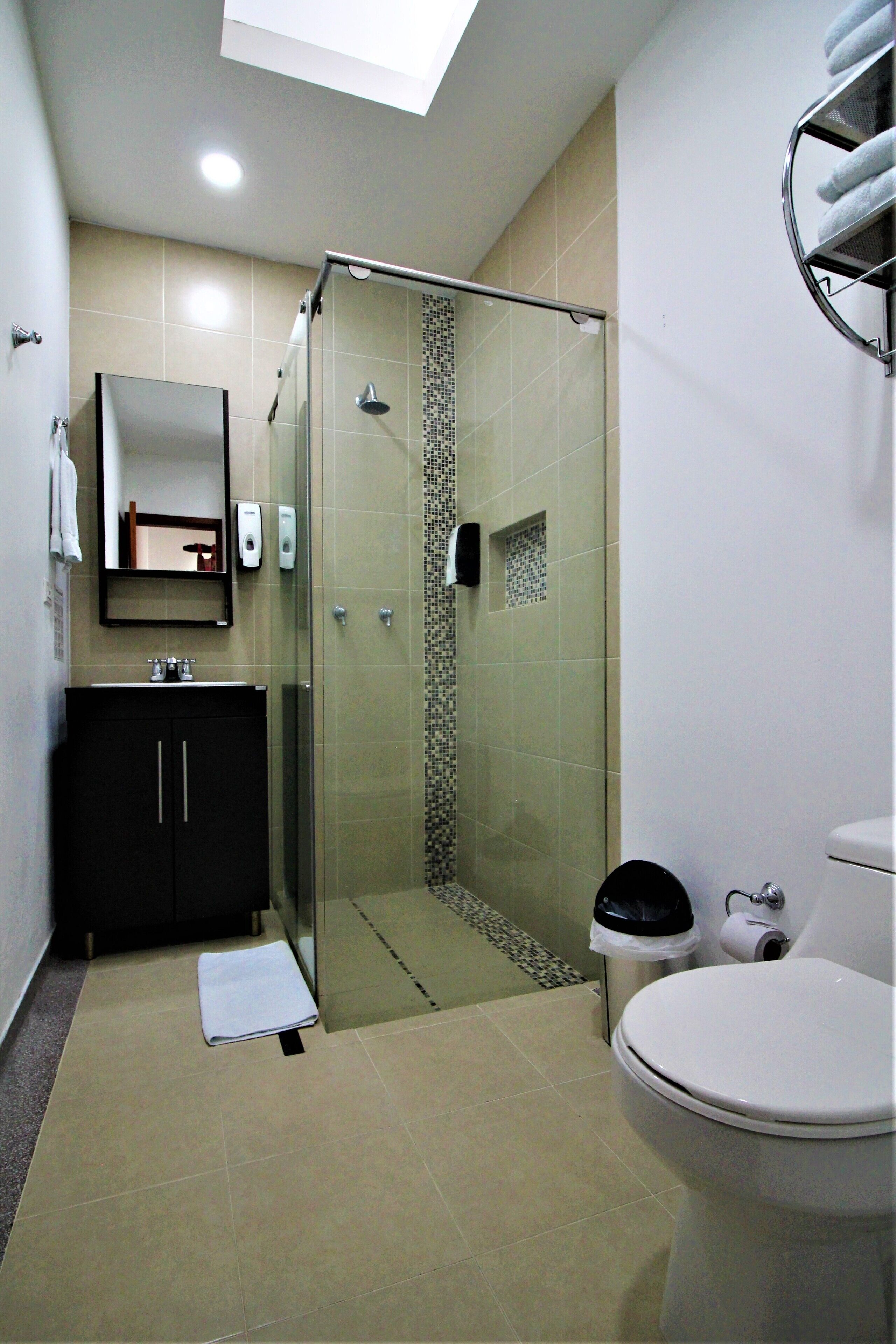A modern bathroom with a glass-enclosed shower, a black cabinet, a white toilet, and a mirror above the sink.