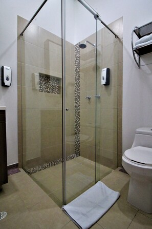 Douche de la salle de bain