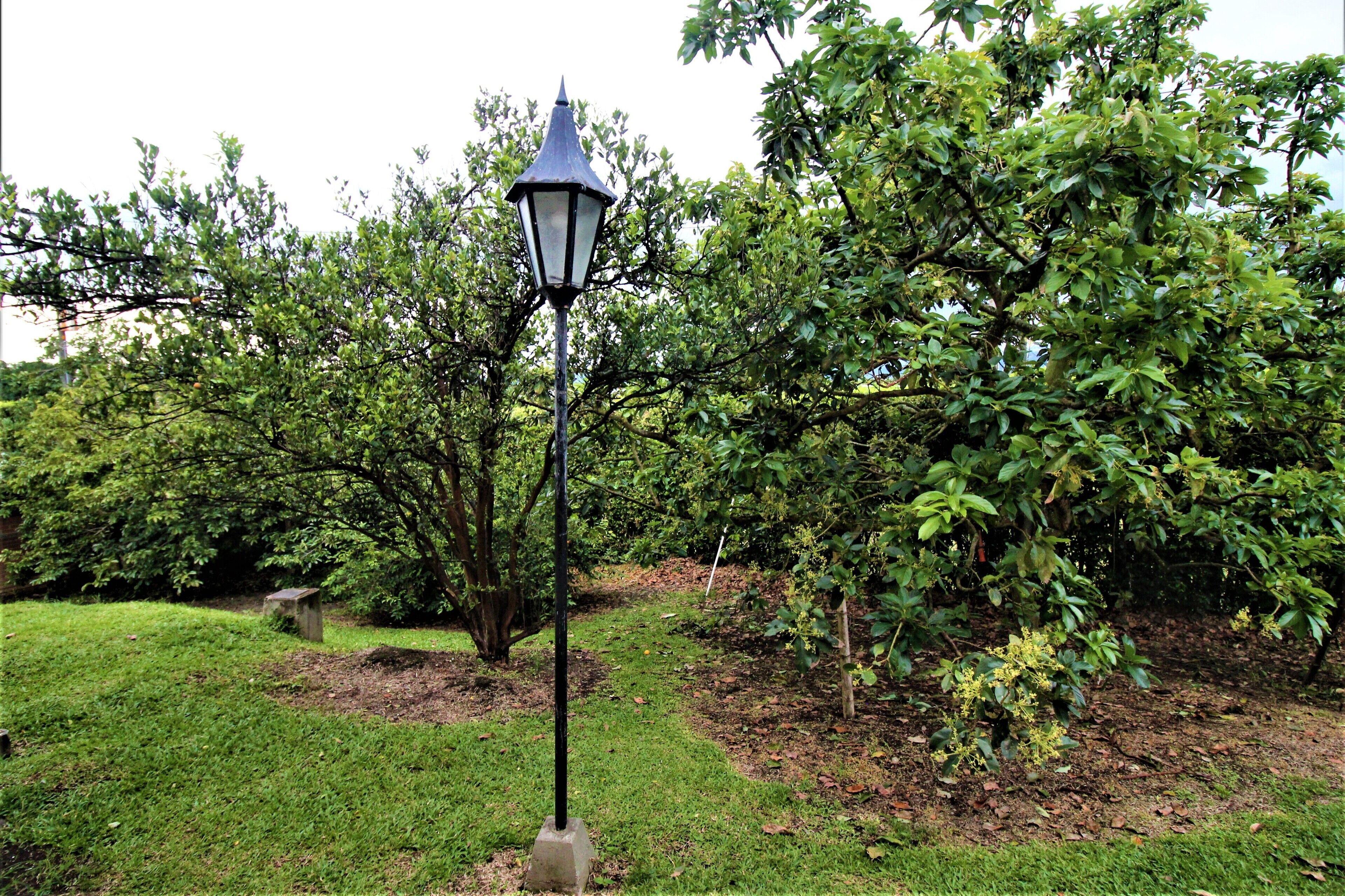 Photo - Amazilia Hotel