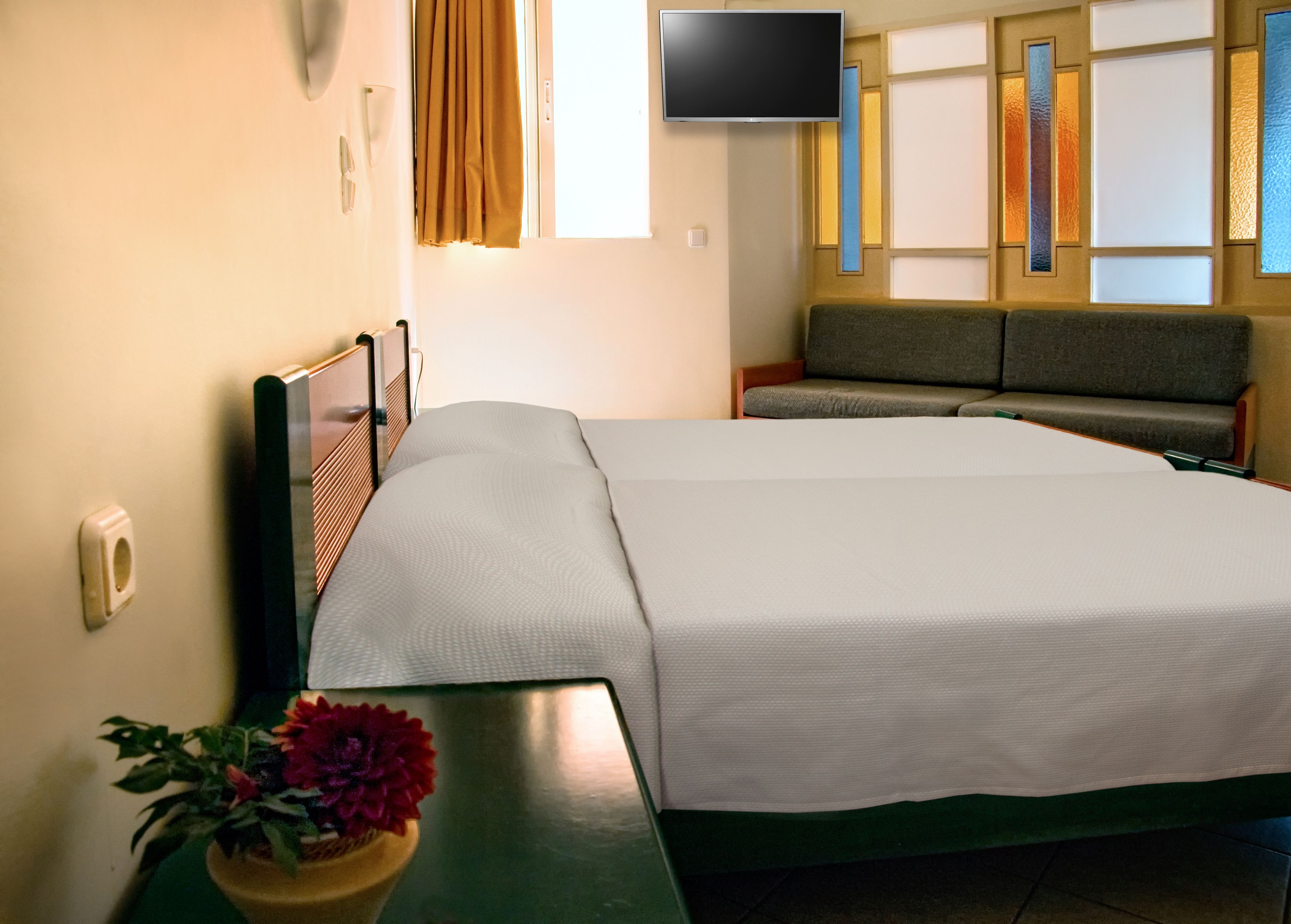 A hotel room with a bed, a sofa, a television, and a potted plant.