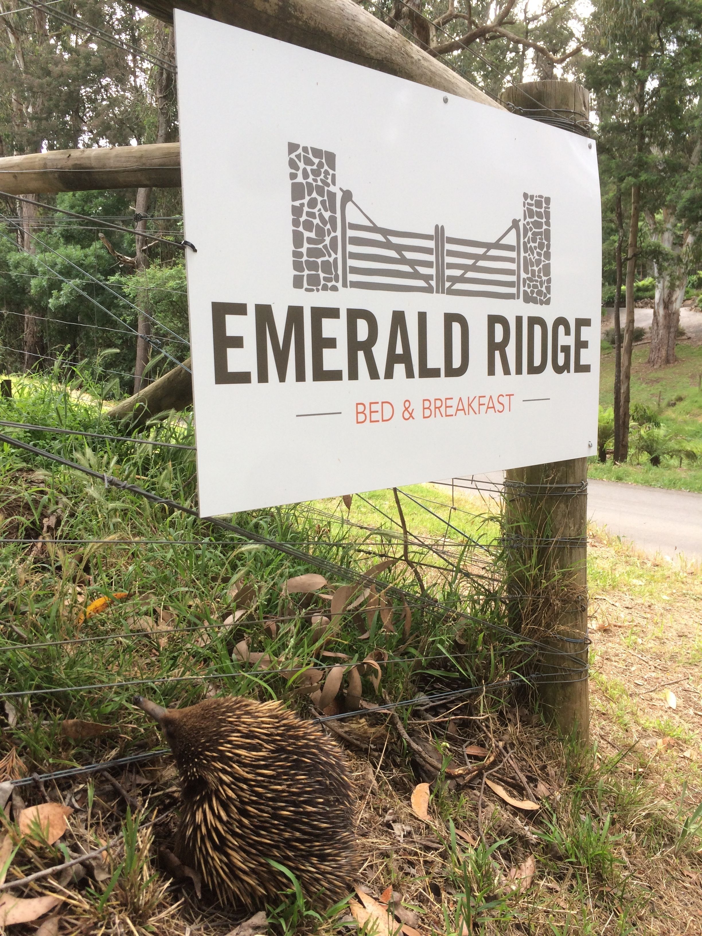 Une enseigne pour l’établissement Emerald Ridge Bed & Breakfast, avec un mur en pierre et un portail en bois.