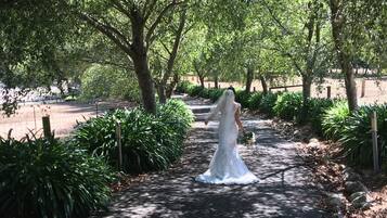 A pathway surrounded by lush greenery and trees, leading to a building.