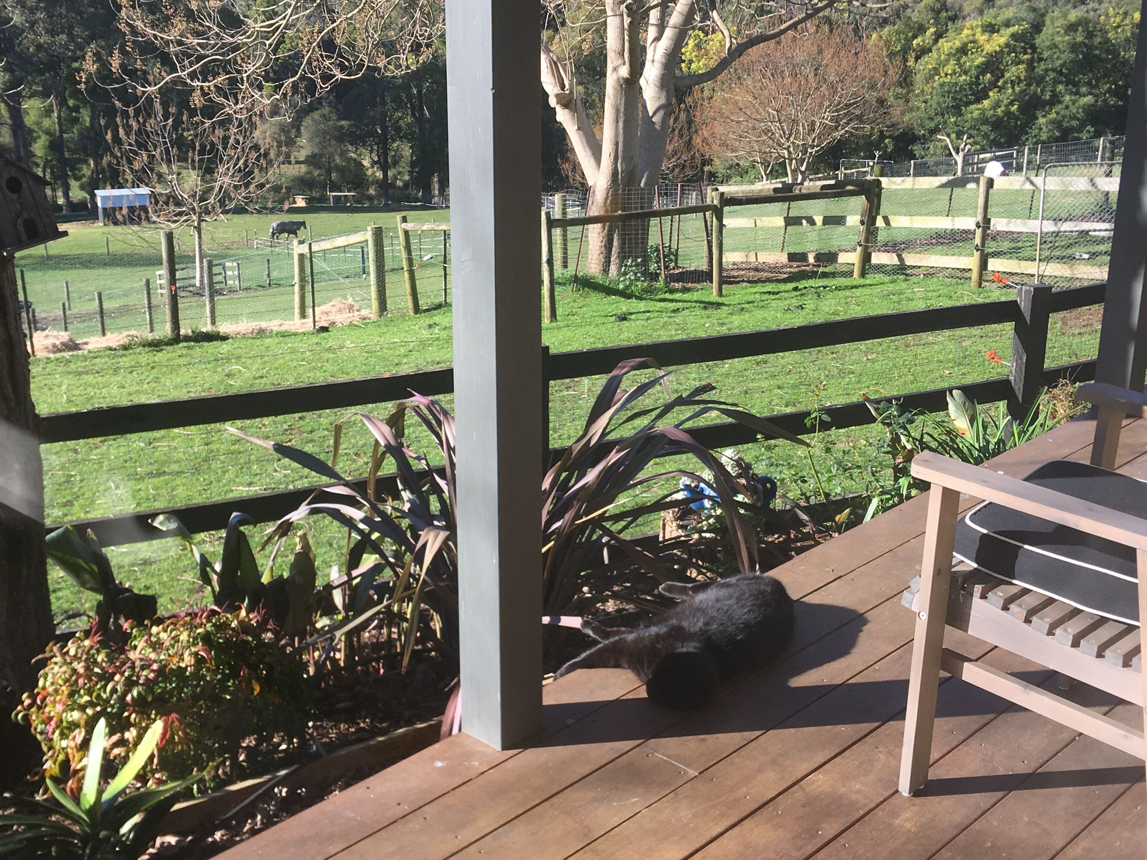 A wooden deck with a stone, a metal bench, and a view of a fenced area with grass and trees.