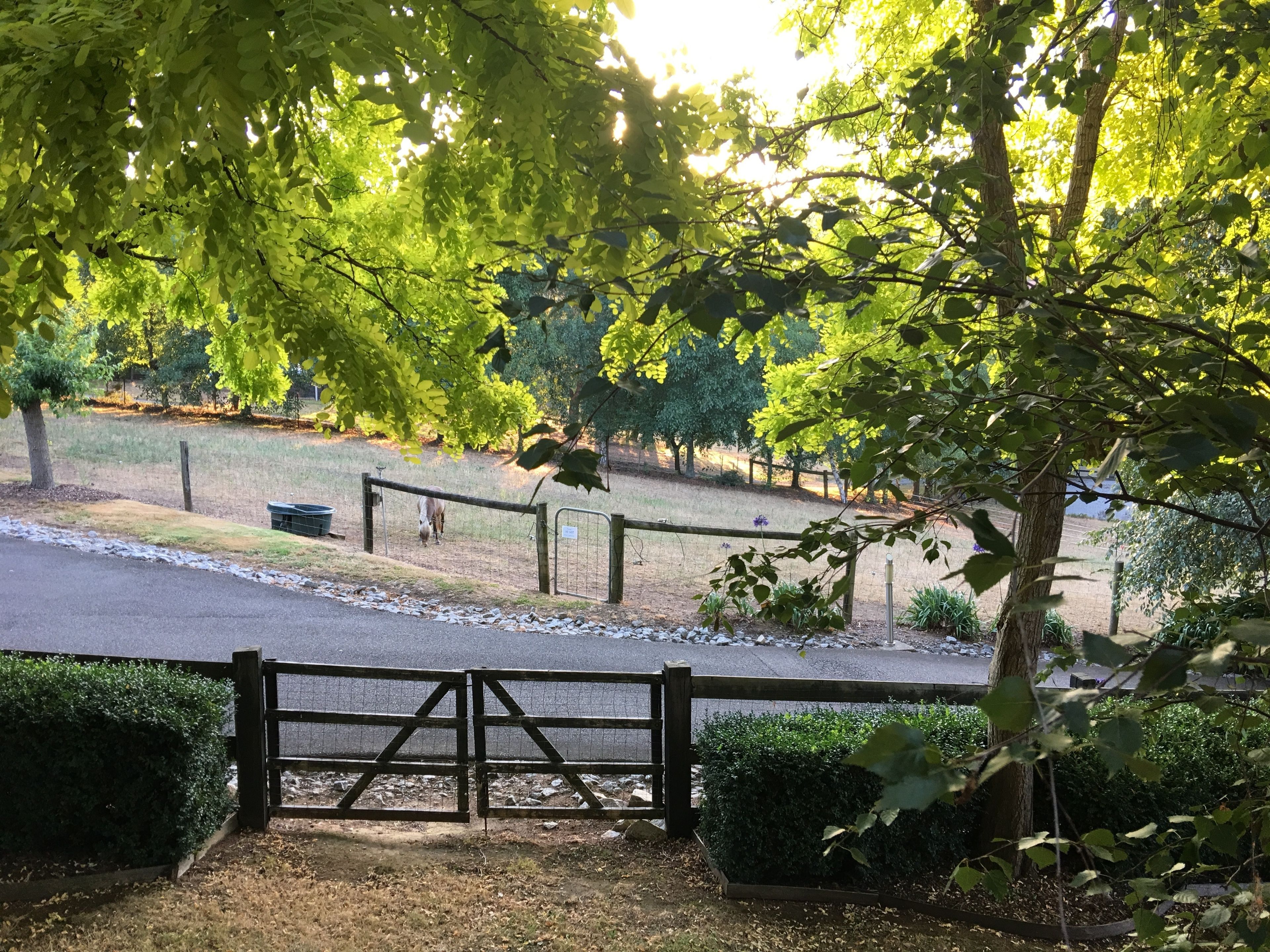 A gated entrance to a park with a paved path leading through it.
