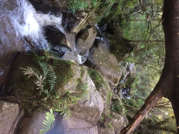 A natural rock formation with a small waterfall and surrounding greenery.