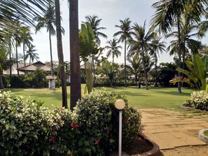 Un jardín tropical con palmeras, césped cuidado y un sendero que lleva a un edificio con techo de tejas.