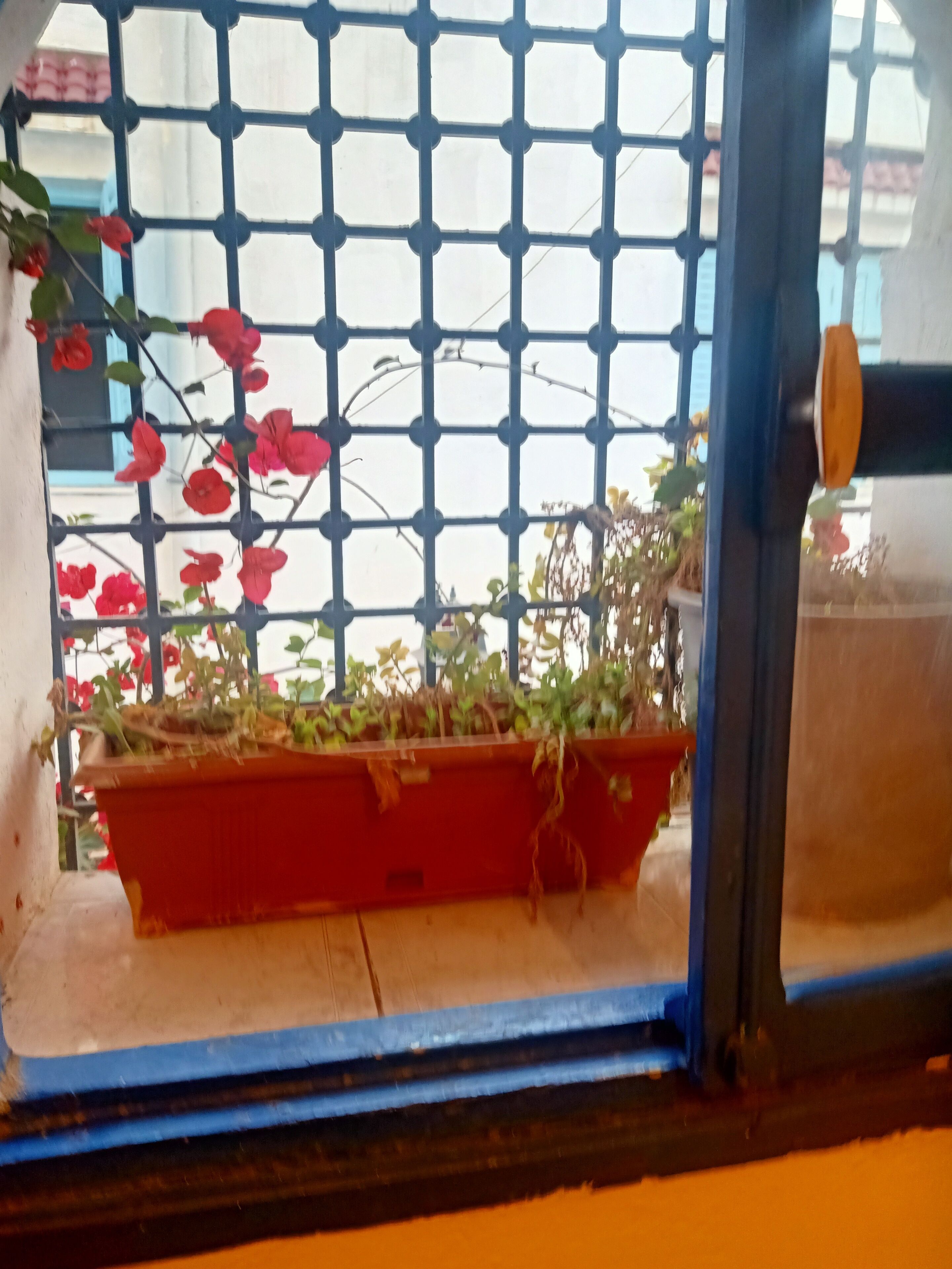 Photo - Dar kenza Tunis