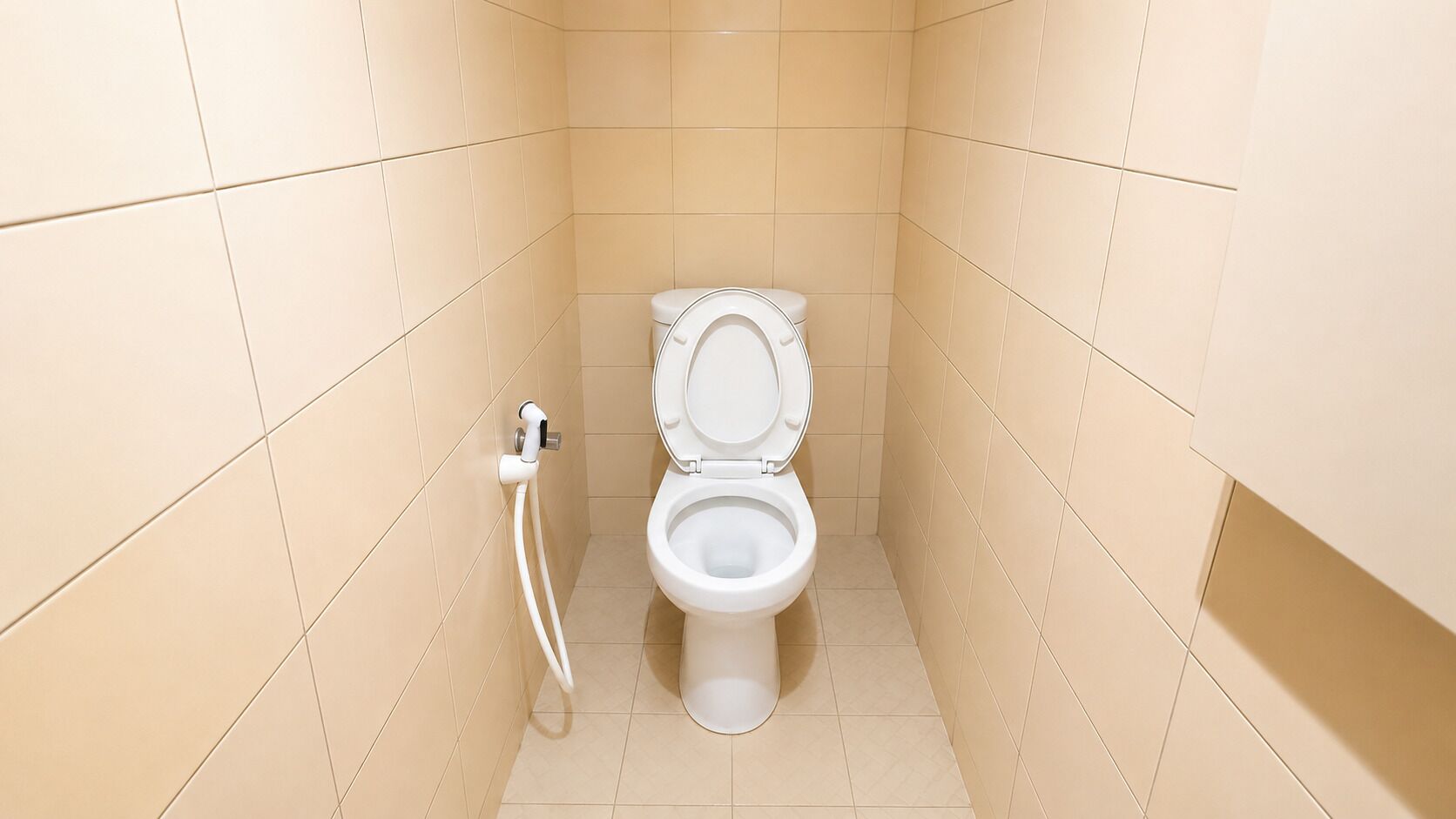 A small, enclosed bathroom with a toilet and a handheld bidet.