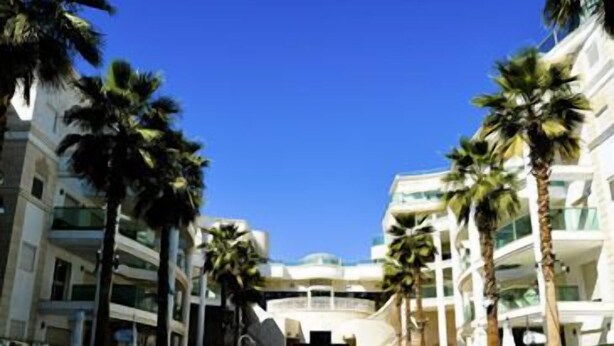 A hotel with a central swimming pool surrounded by palm trees and modern architecture. - La Palmora Suites (Eilat)