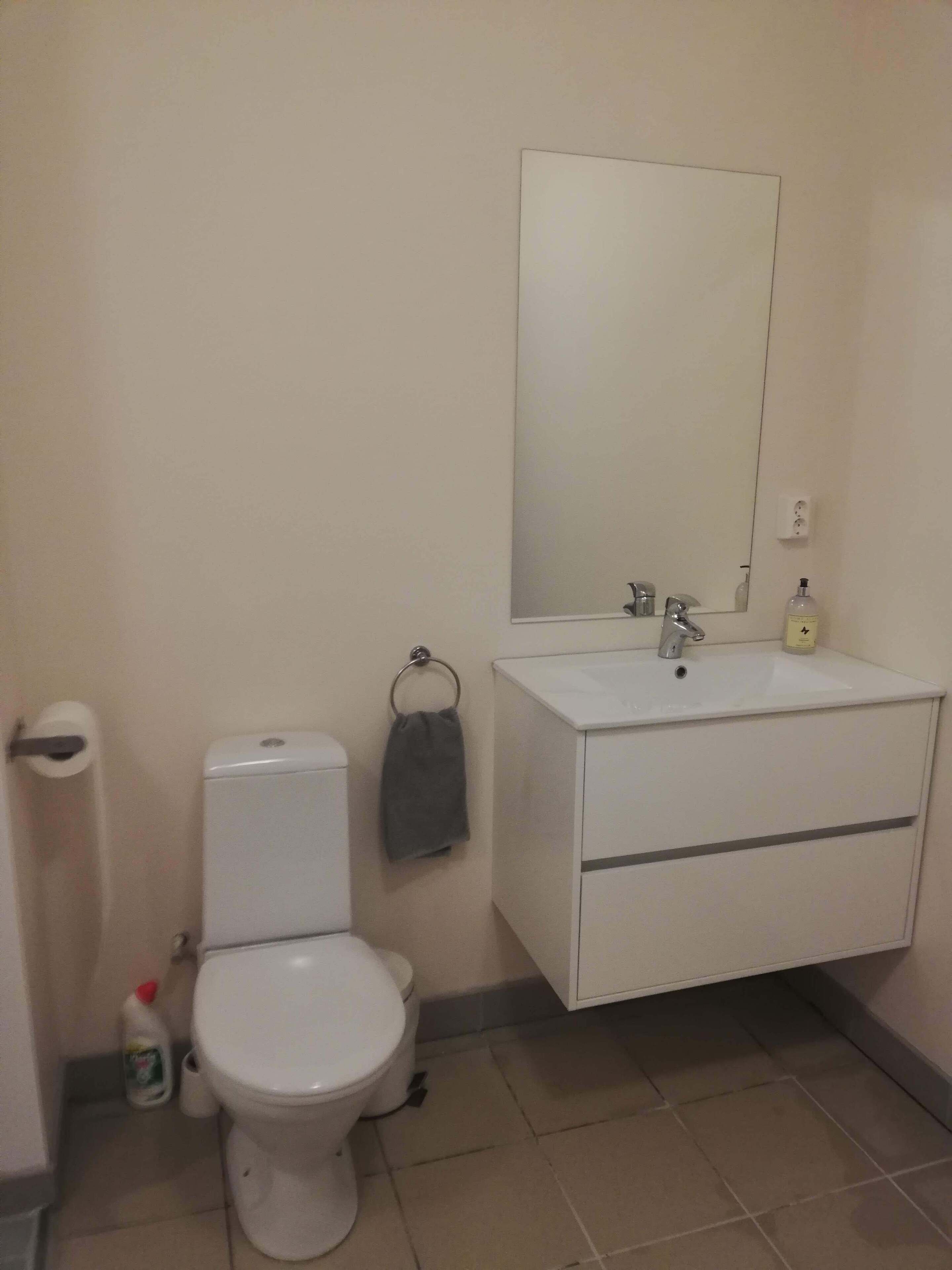Une salle de bain équipée de toilettes, d’un lavabo, d’un miroir et d’un porte-serviettes.