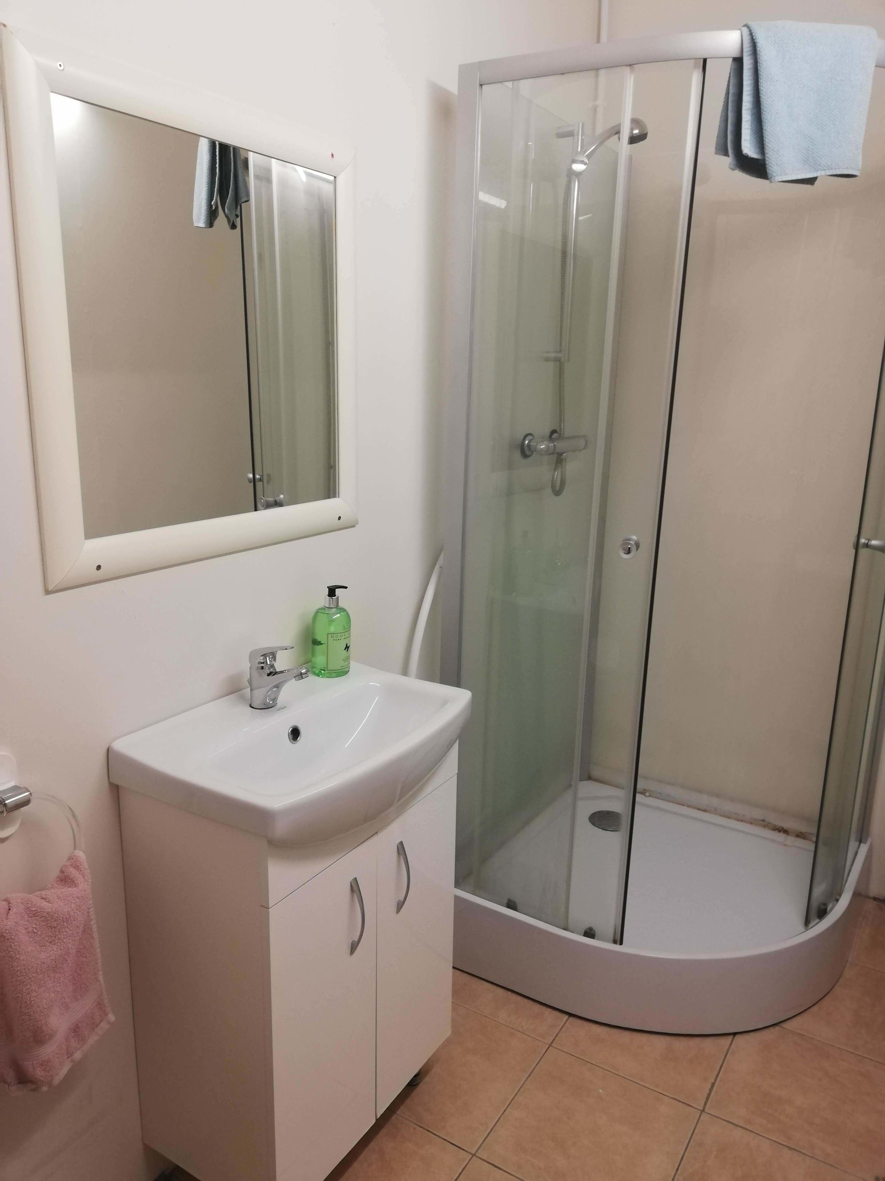 A bathroom with a white sink, a mirror, a glass shower enclosure, and a pink towel.
