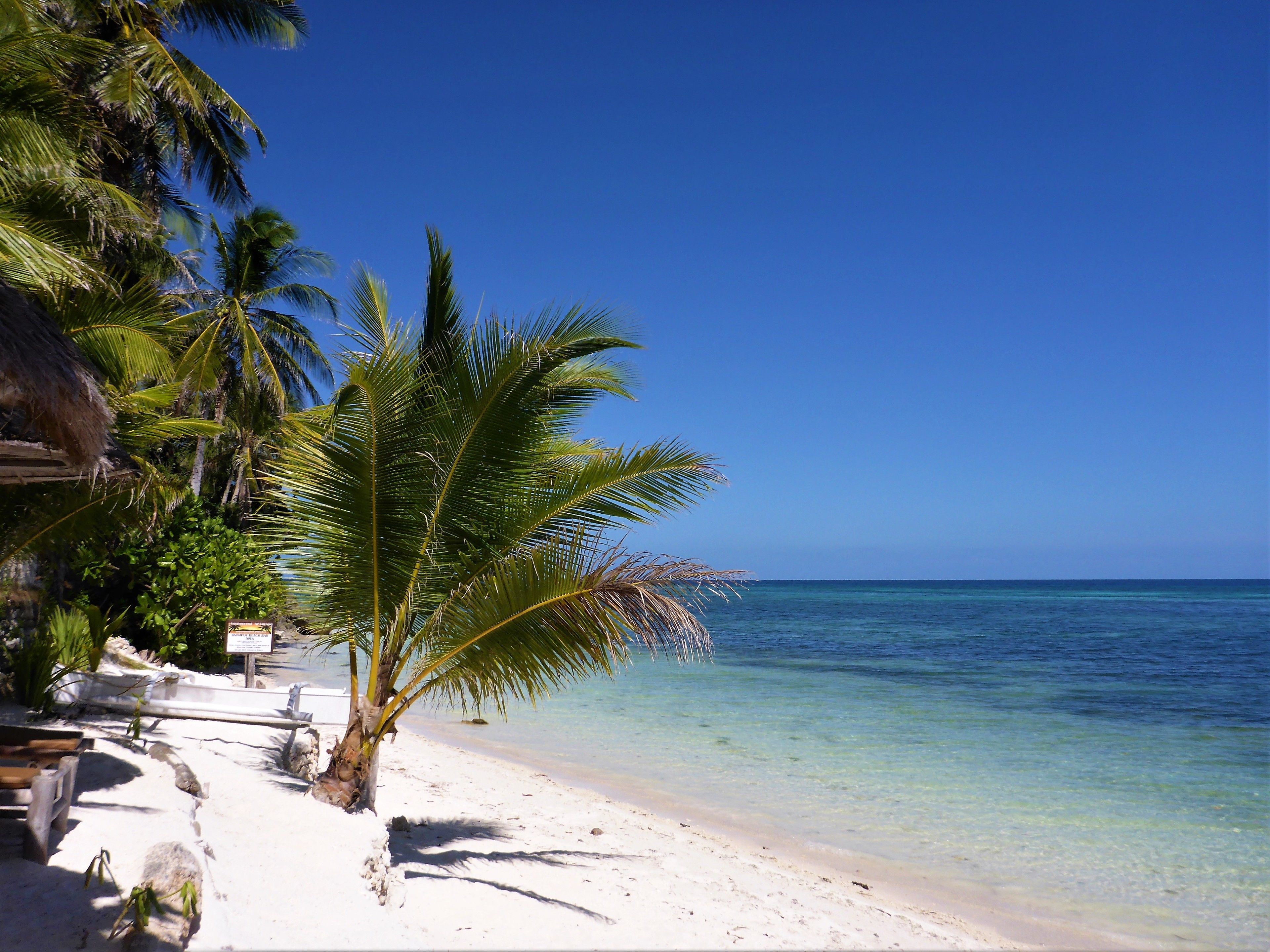 Une plage de sable blanc, avec une eau d’un bleu limpide et des palmiers.