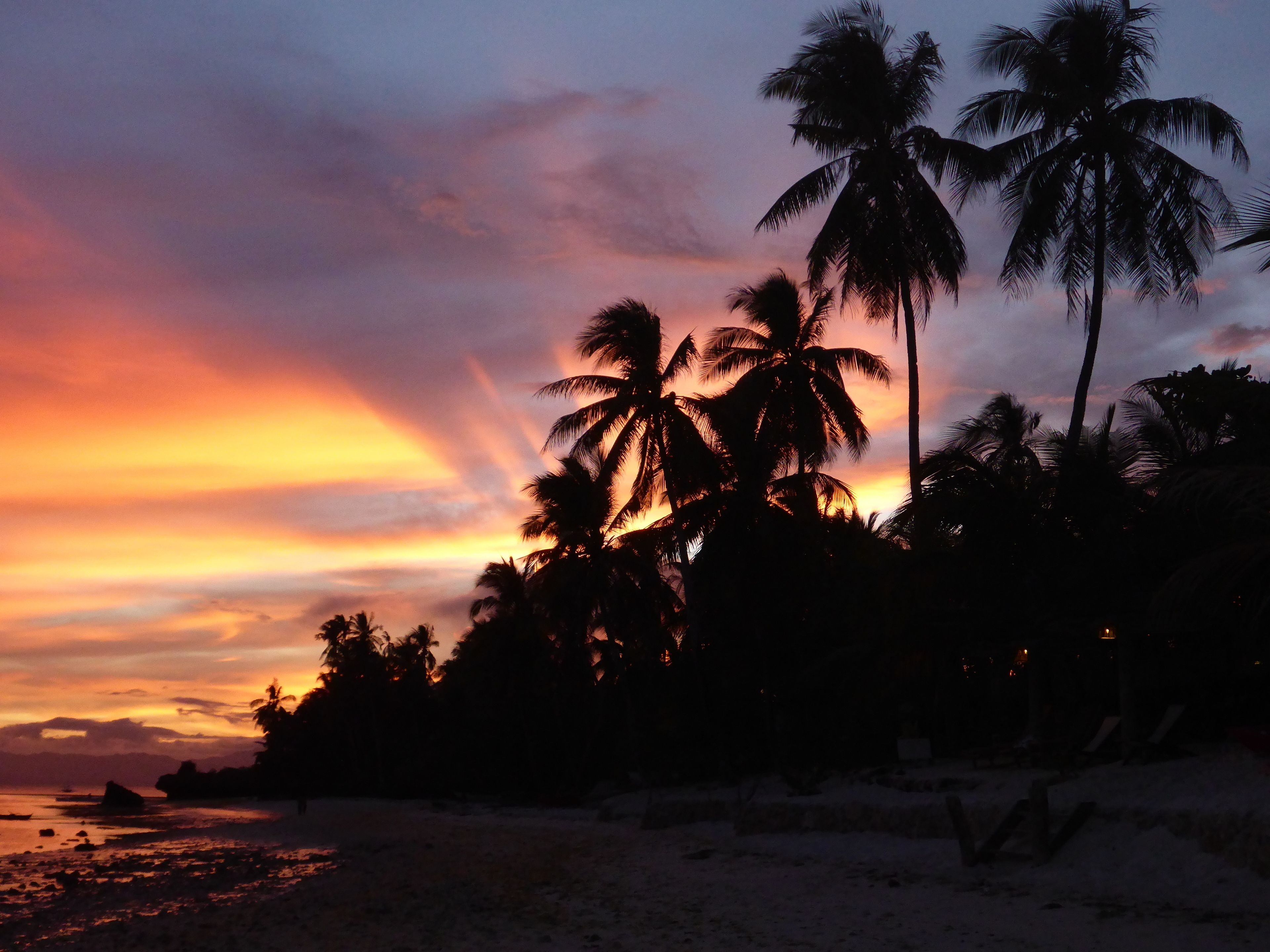 A beach scene with palm trees silhouetted against a sunset sky.