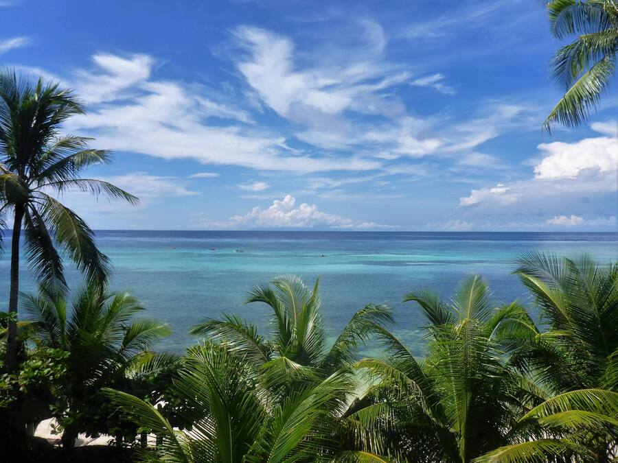 Una playa tropical con aguas turquesas cristalinas, palmeras y un cielo despejado.