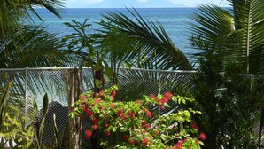 A view of the ocean with mountains in the distance, a fence, and tropical vegetation.