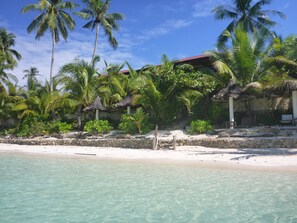 Een strand met helder turquoise water, palmbomen en een hut met rieten dak.