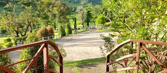 Foresta Hill Resort