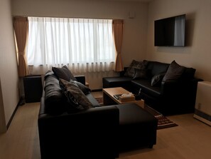 Flat-screen TV