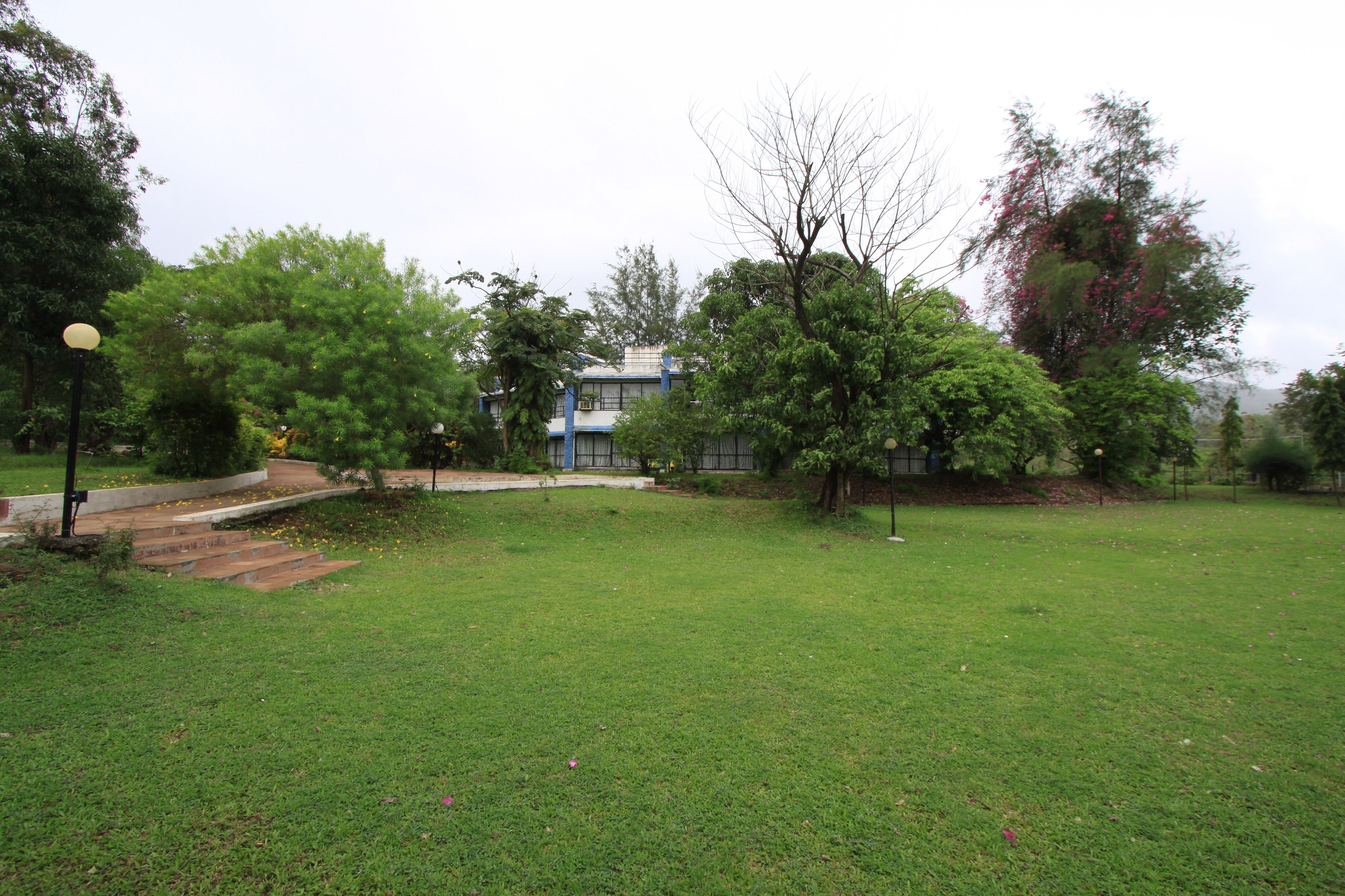 A grassy area with trees and a building in the background.