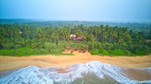 Una playa con palmeras y una casa al fondo.