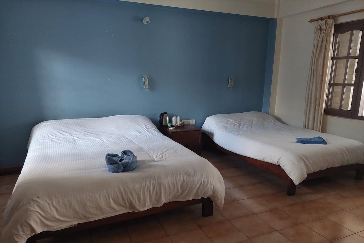 Two single beds with white linens in a room with blue walls and a window with curtains.