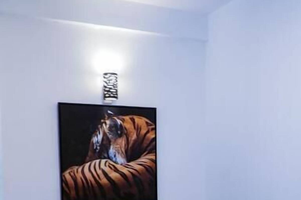 A bedroom with a bed, a painting of a tiger, and a red and blue bedspread.