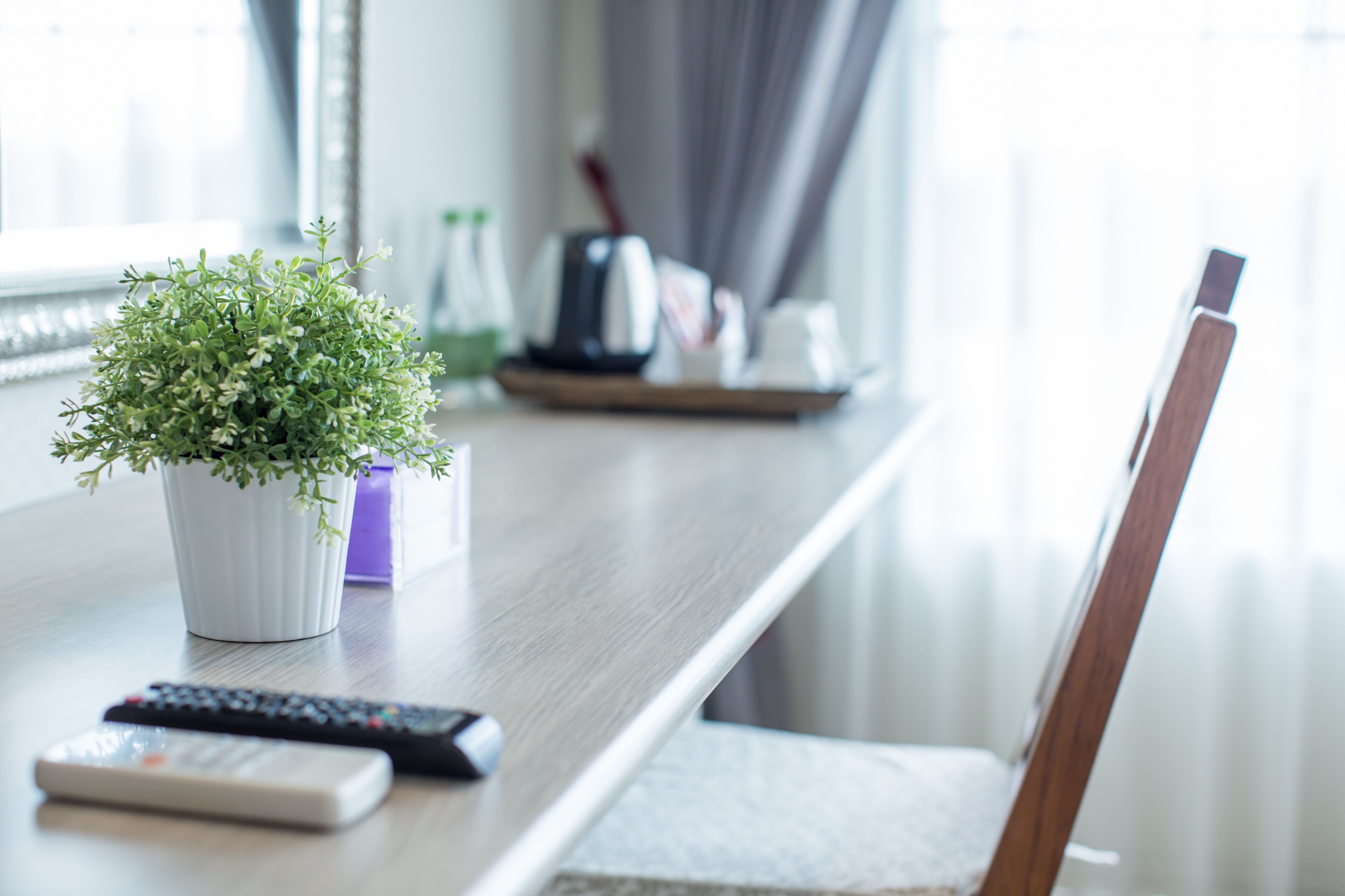 A dining table with a potted plant, two remote controls, and a kettle on a tray.