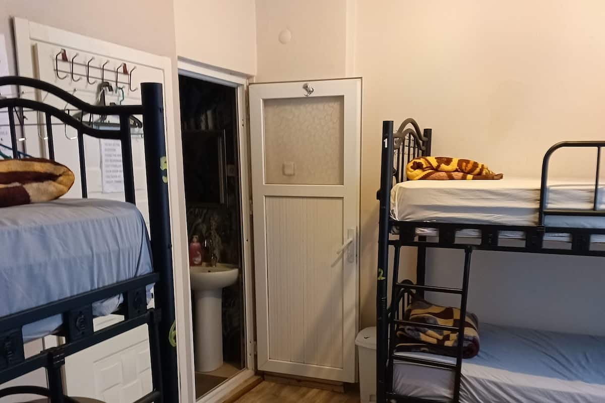 Shared Dormitory, Mixed Dorm | Meja, seterika/papan seterika, Wi-fi percuma, cadar katil