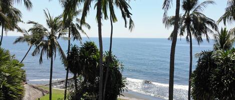 Beach/ocean view
