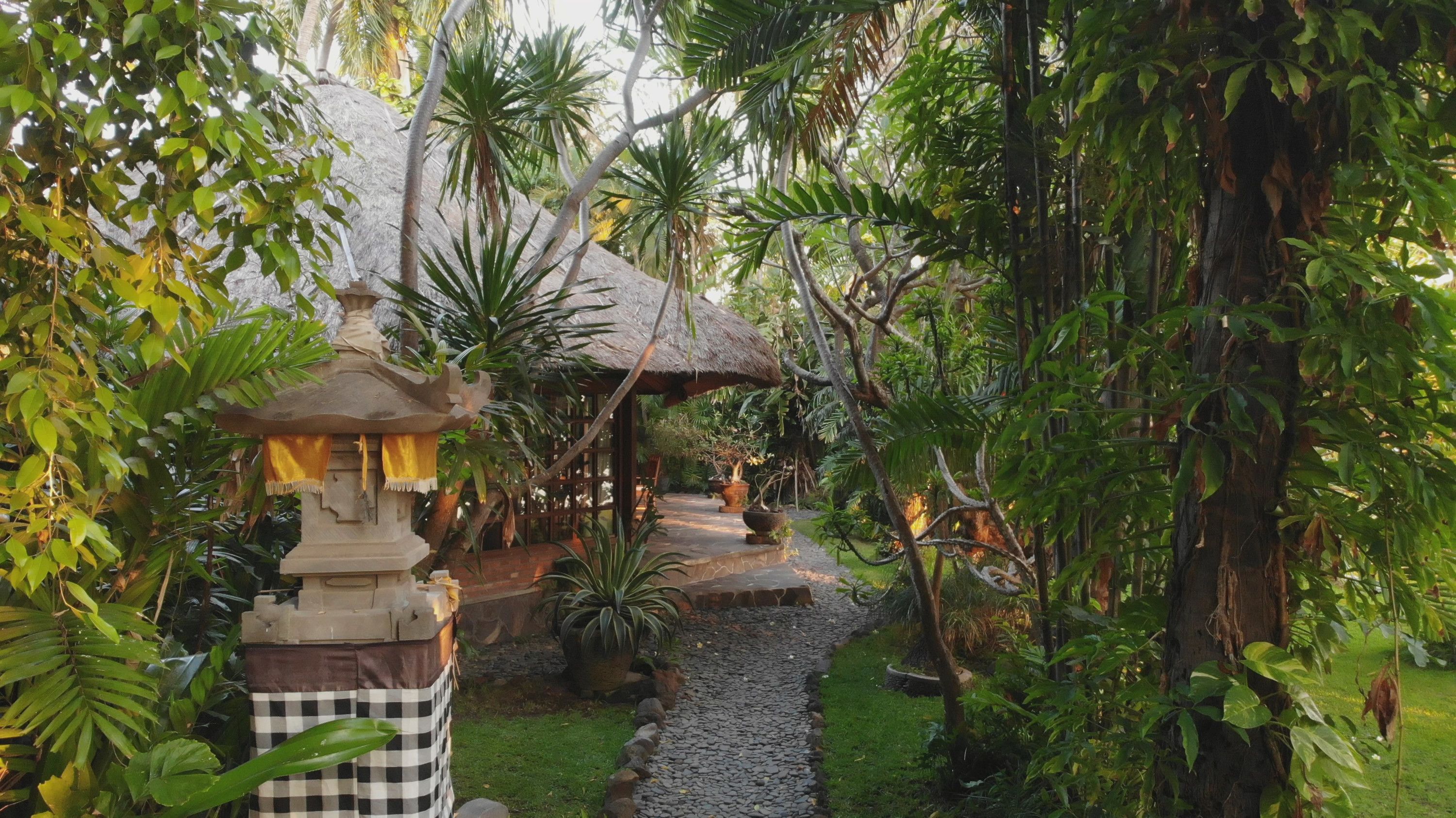 Habitación | Vista al jardín