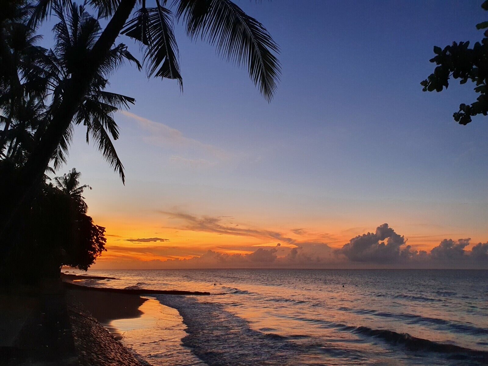 Beach/ocean view