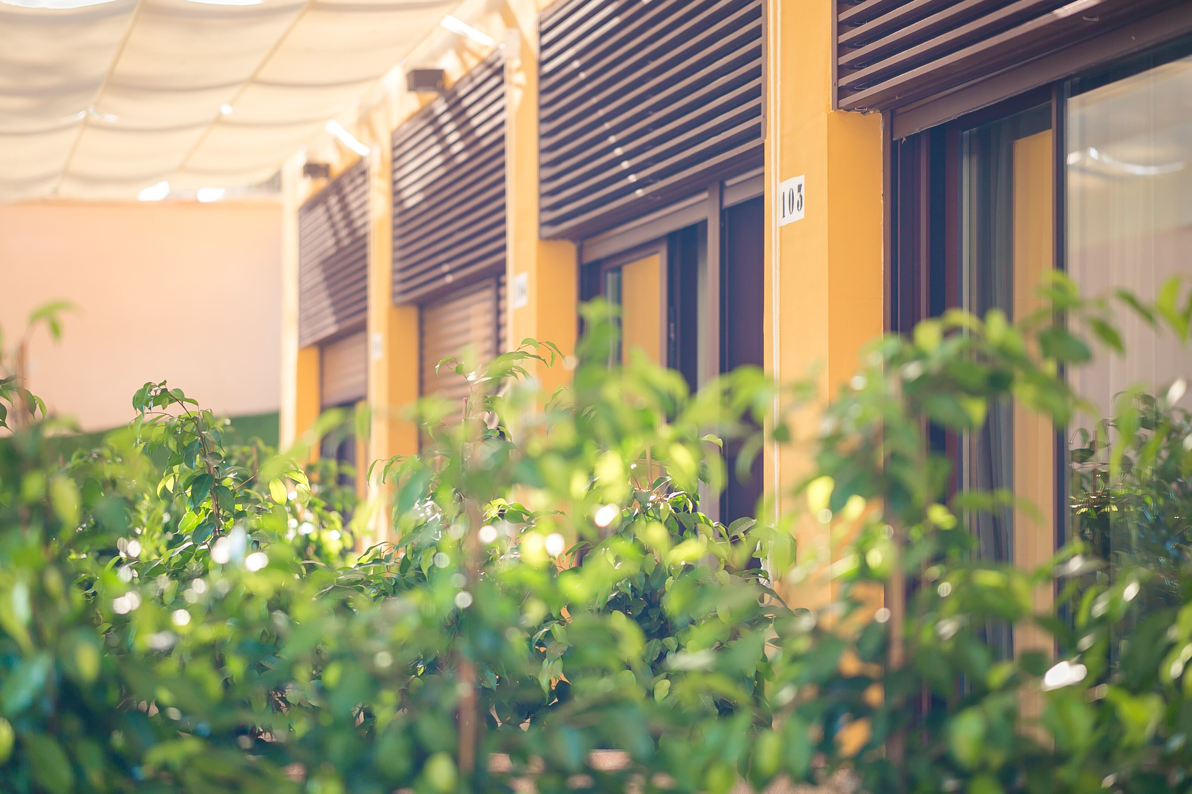 deluxe double room, 1 king bed, mountain view | 1 bedroom, premium bedding, memory-foam beds, soundproofing