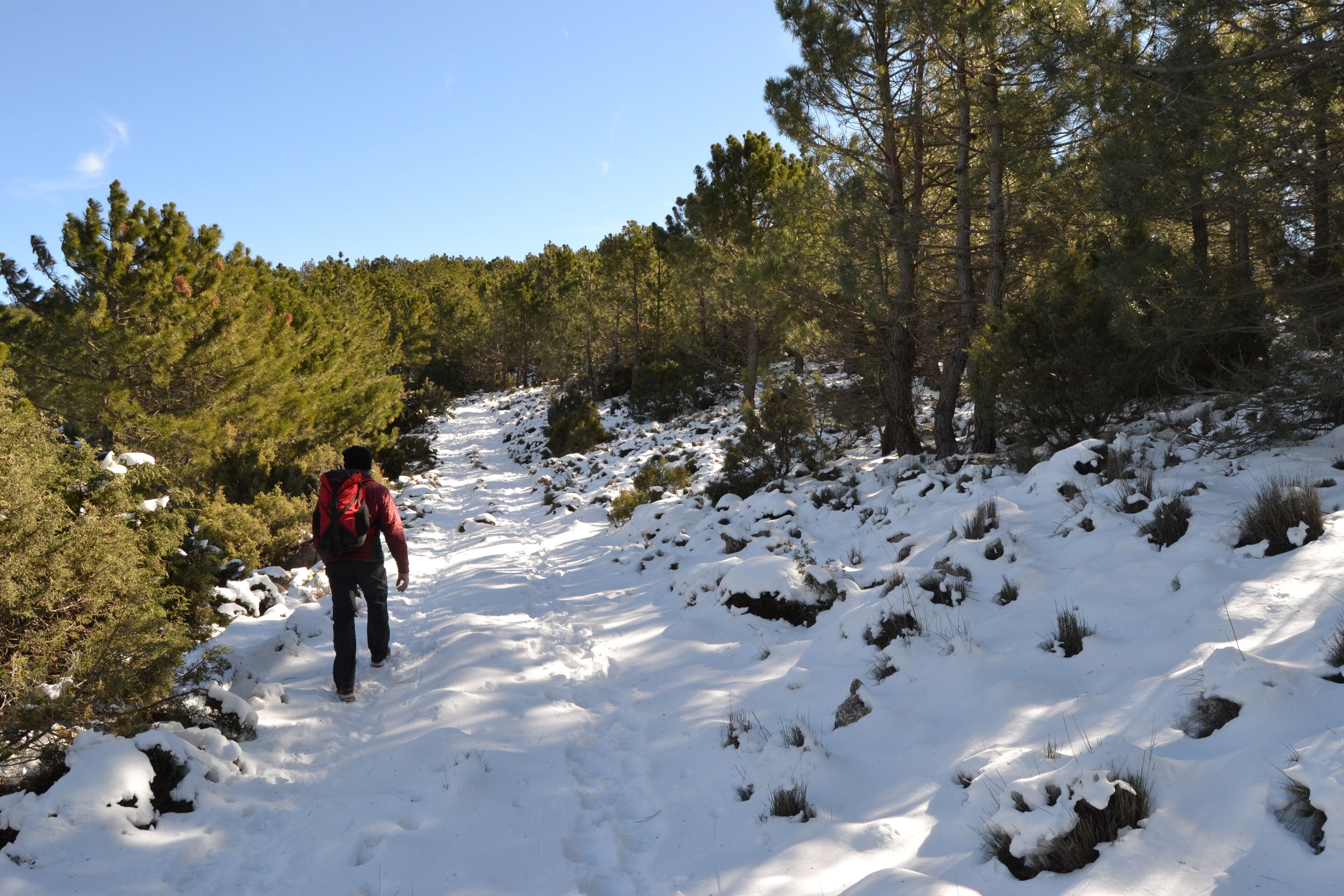 Foto - Hotel Rural El Molino de Felipe