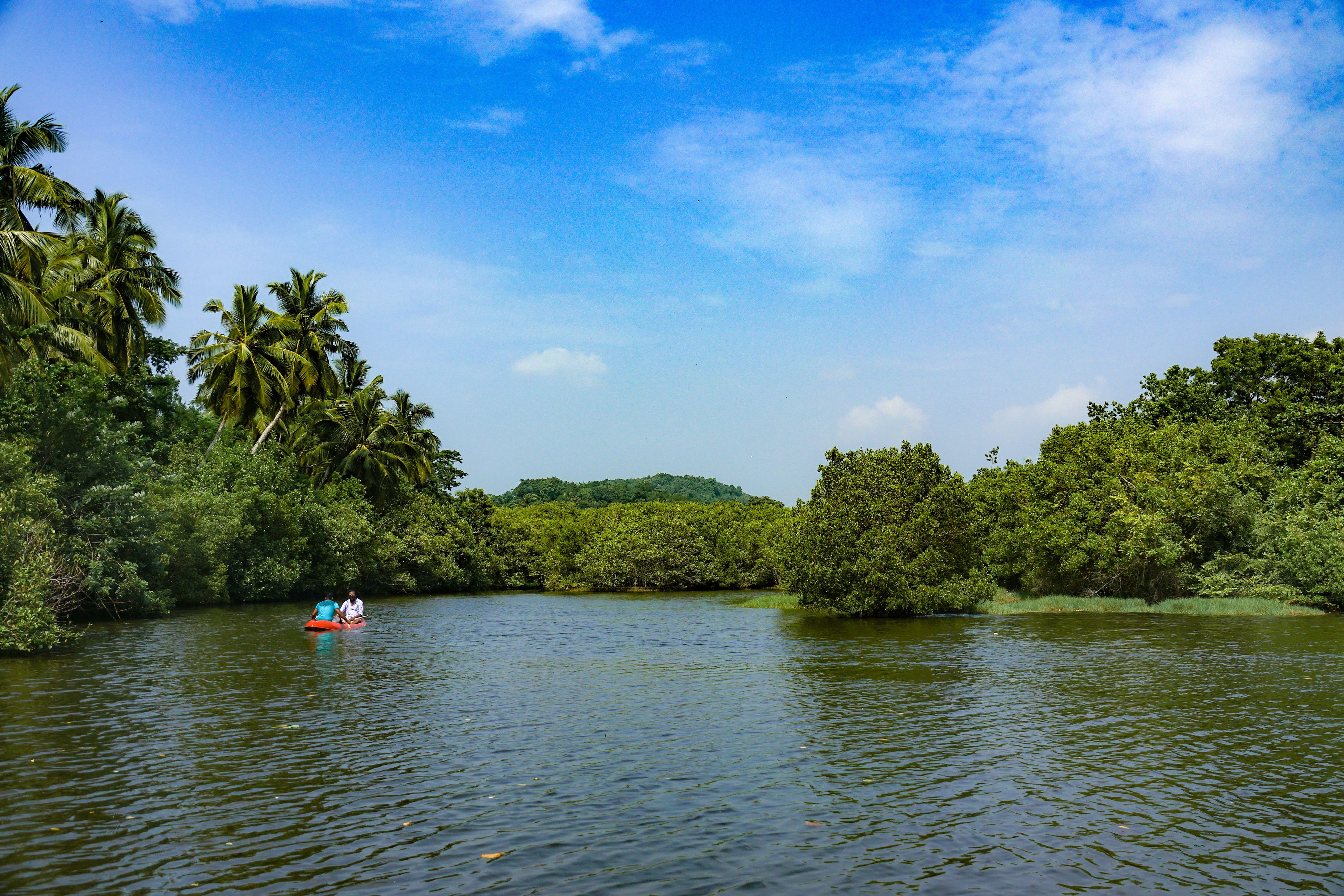 Kayaking