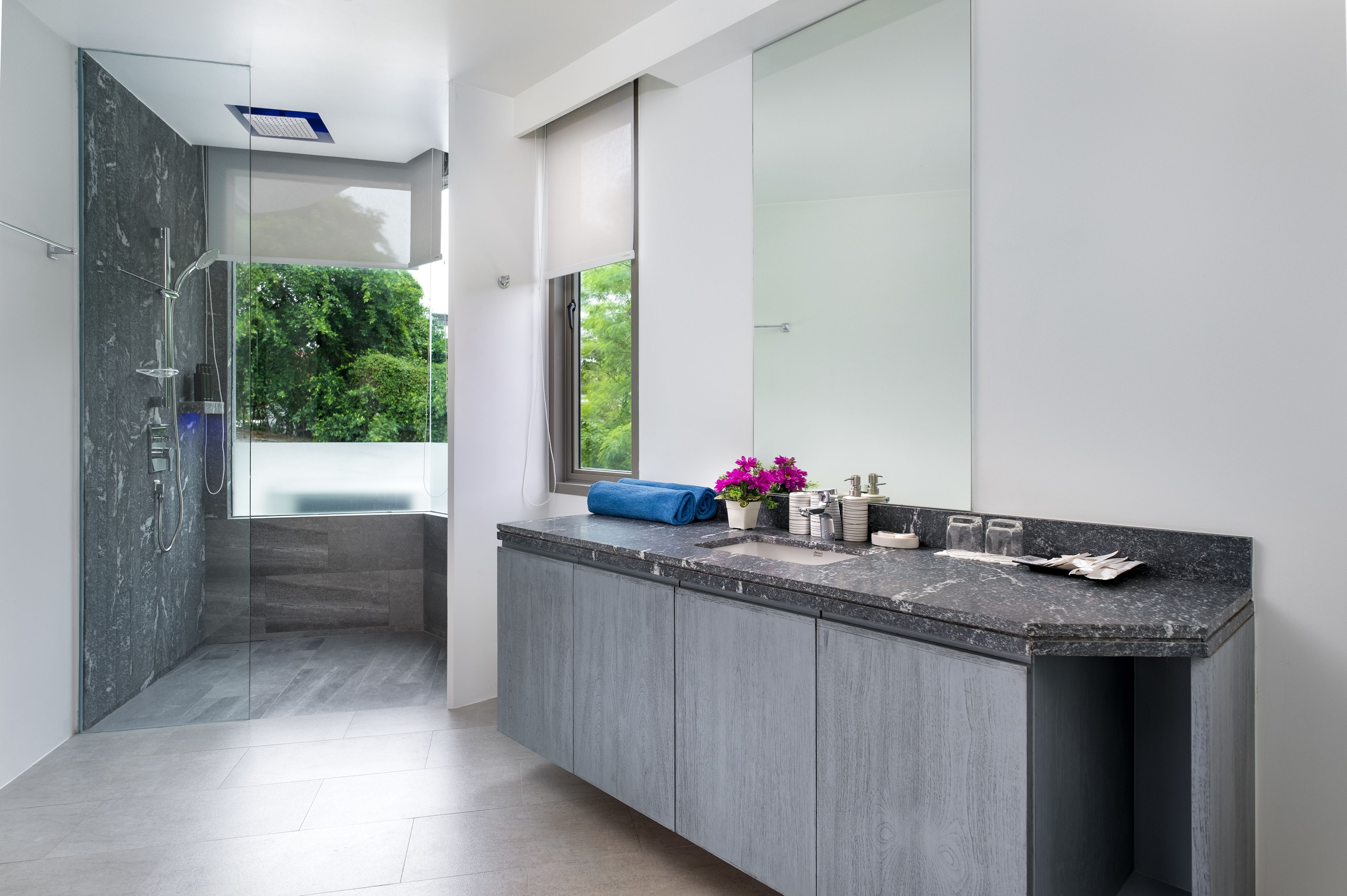 deluxe king room  | bathroom shower