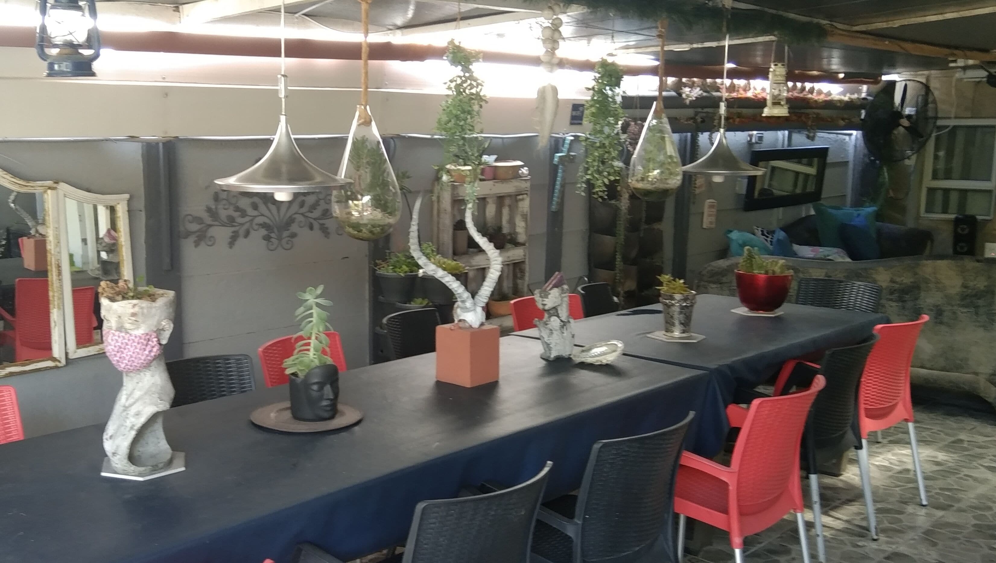 Un restaurante con una larga mesa, sillas, plantas colgantes y un espejo en la pared.