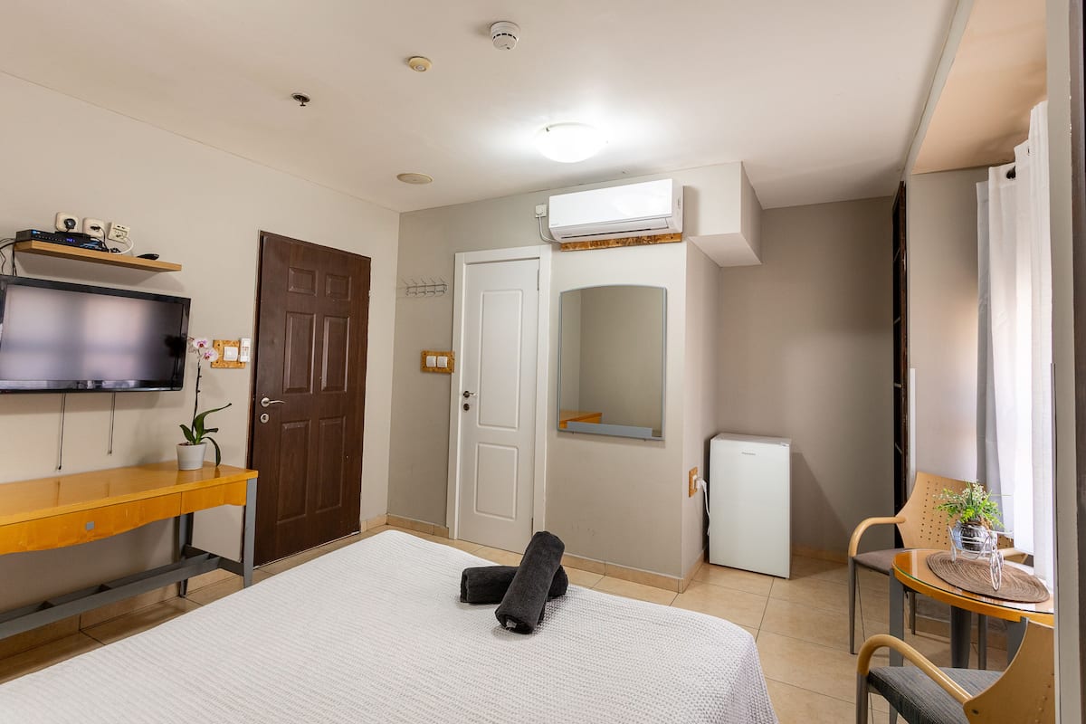 Habitación de hotel con cama, escritorio, televisión, espejo, puerta y una pequeña mesa con una planta.