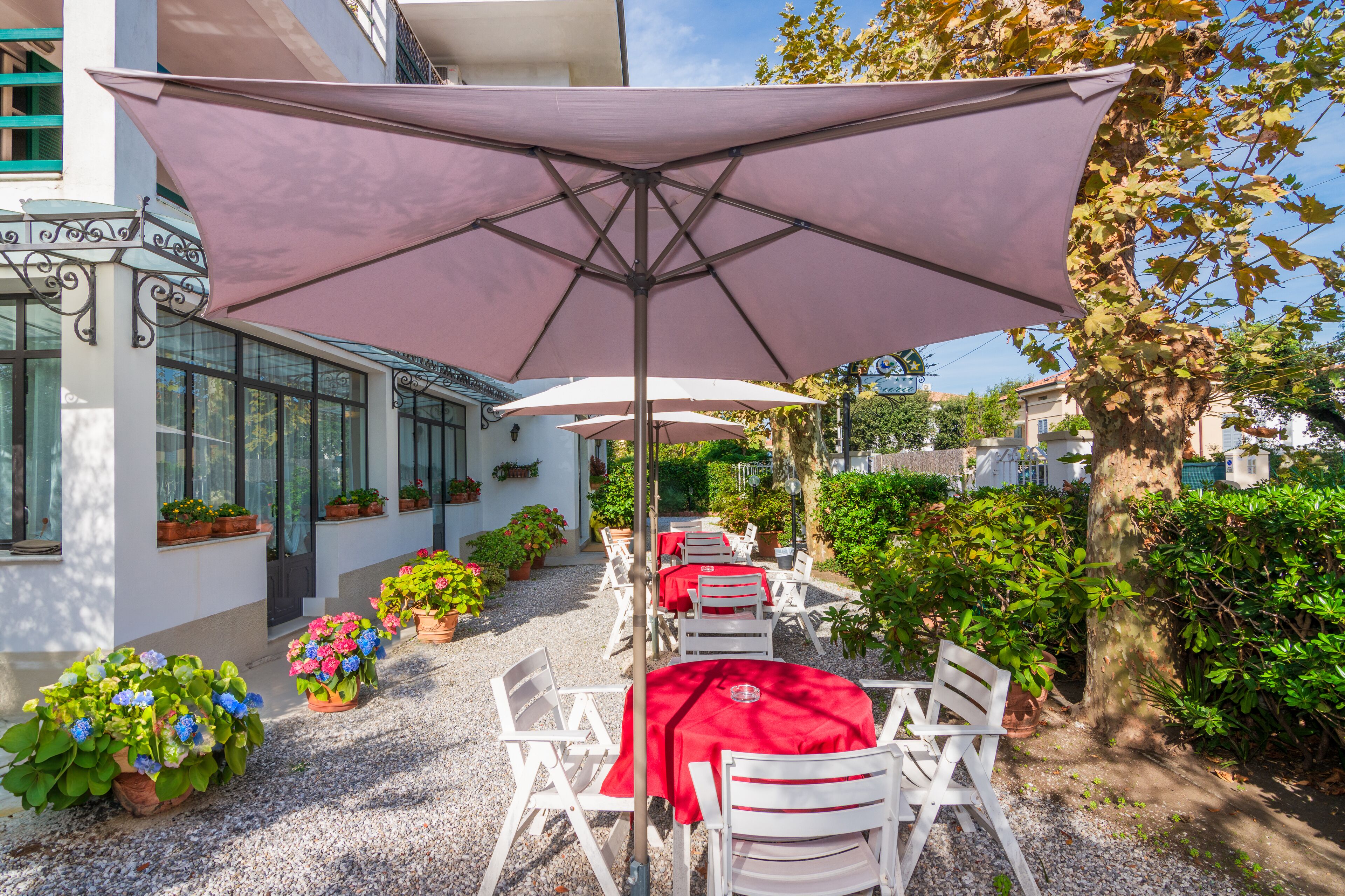 An outdoor patio with white chairs and red tablecloths, surrounded by potted plants and a large umbrella providing shade.