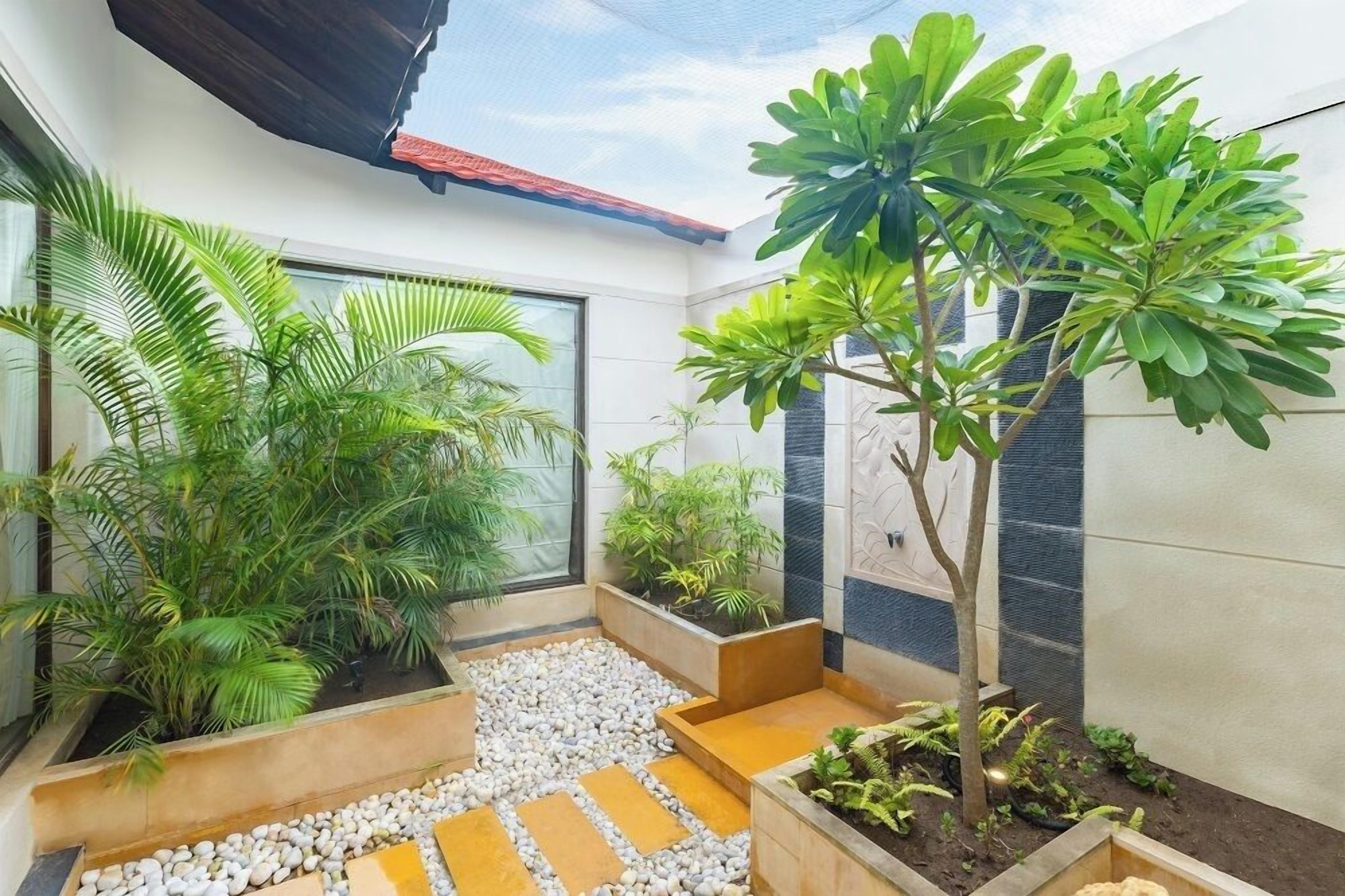A modern indoor garden with various plants and a pebble pathway.