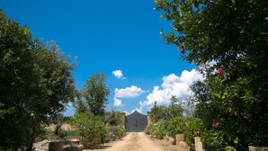 A dirt path leading to a building with a dark roof, surrounded by greenery and flowering plants. - Masseria Nanni (Gallipoli)