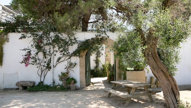 A garden patio with a wooden table and benches, surrounded by potted plants and a white wall. - Masseria Nanni (Gallipoli)