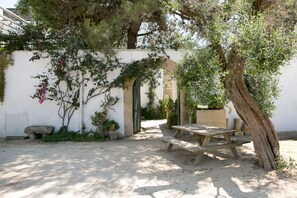 A garden patio with a wooden table and benches, surrounded by potted plants and a white wall. - Masseria Nanni (Gallipoli)