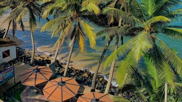 Vista de una playa con palmeras, un restaurante y el océano.