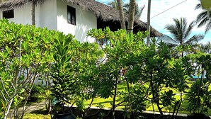 A tropical garden with palm trees and a thatched-roof building. - Mandala Villas (Rekawa)