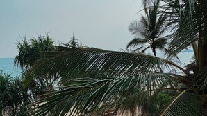 A beach with palm trees and lounge chairs. - Mandala Villas (Rekawa)